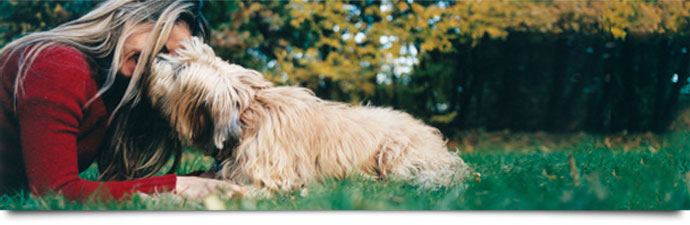 47 Pet Funeral Services Photos