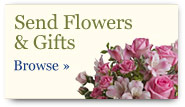 Send flowers online