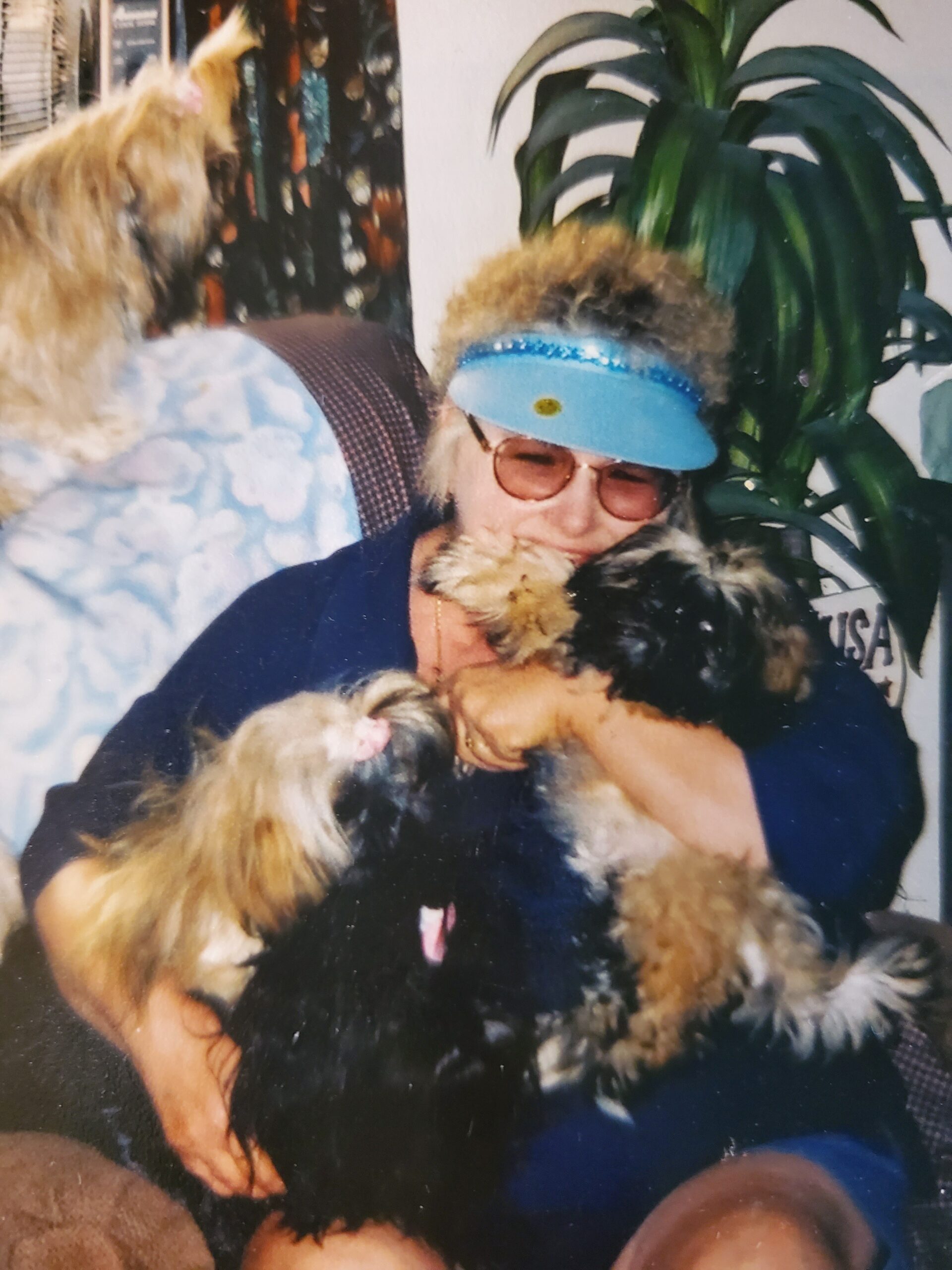 Diane M. Repp Obituary, Lancaster, PA