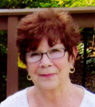 Judith Ann Hollinger