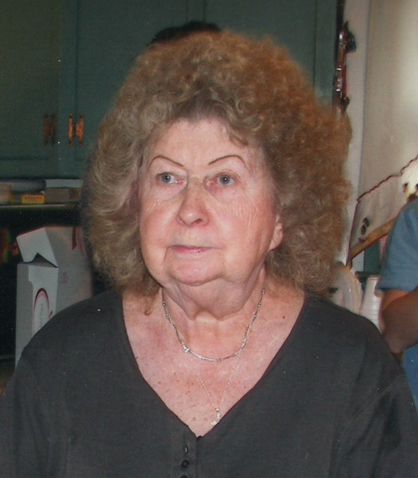 Snyder Funeral Home Sunbury Ohio Obituariessupport And Help Search Result.Html - ncqv68d